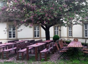 Biografie Seminare mit Mechthild Messer im Bildungshaus Kloster Schöntal, Foto von Mechthild Messer